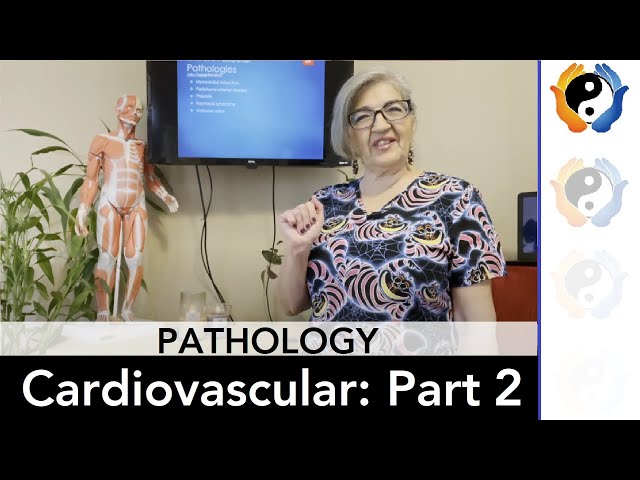 Cardiovascular Pathologies: Part 2