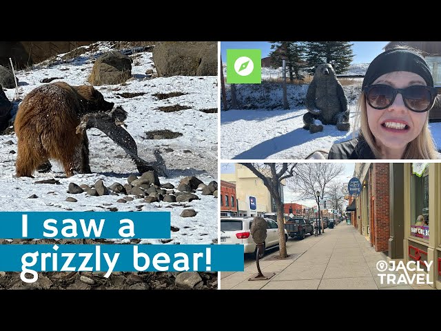 3 Things To Do in Bozeman, Montana: 24 Hours in Bozeman