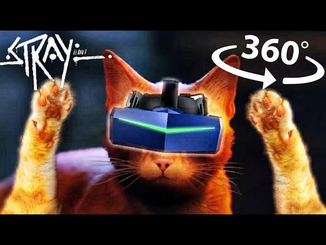 360° YOU are a CAT in VR! First Person Stray