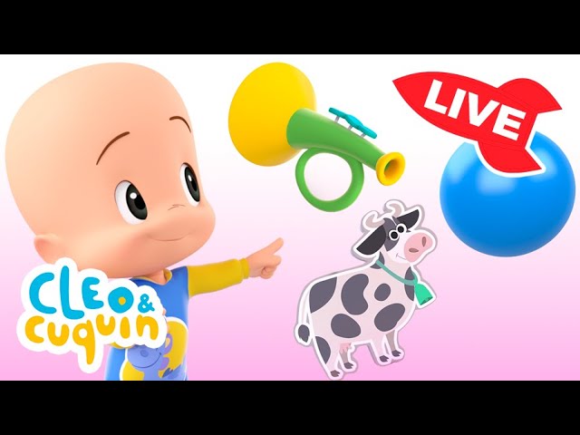 🔴 LIVE 🔴 Learn colors, numbers and shapes with Cuquín | Educational videos for kids #shorts #live