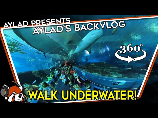 360 Tour of the Georgia Aquarium Ocean Voyager exhibit #360tours #360virtualtour