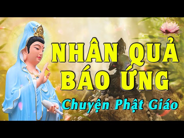 Câu chuyện NHÂN QUẢ Hay Nhất - Chuyện Phật Giáo - Nhân Quả Báo Ứng P2