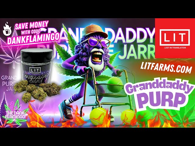 Reviewing the Granddaddy Purple Jar from Lit Farms! The Dank Flamingo Review!!