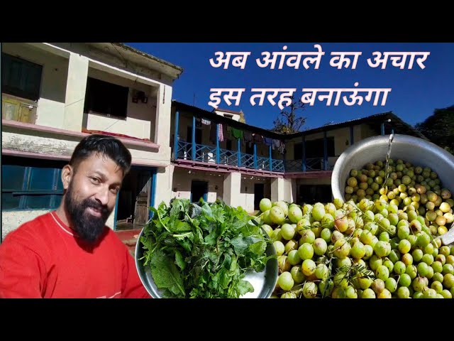 pahadi khan pan, aanwale ka achar bananey ki vidhi ll ( pahadi lifestyle vlogs ) ll Rajwansh ll