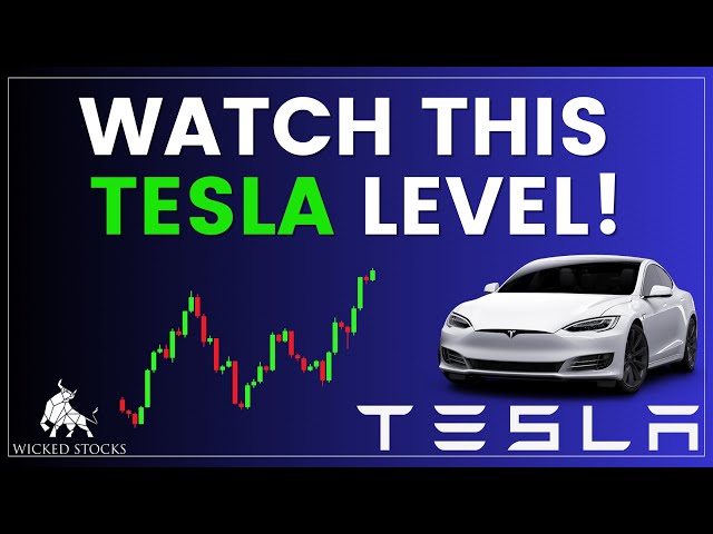 Tesla Stock Price Analysis | Top Levels To Watch for Monday, August 19th 2024