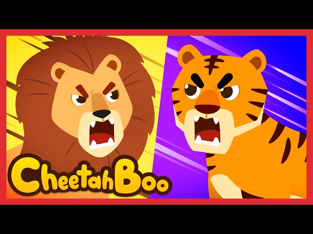 🦁 Lion and Tiger 🐯 | Who is stronger❓❗ | learn animals | baby song | lion 🆚 tiger | #cheetahboo