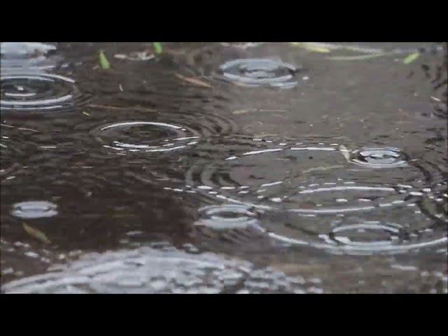 Rainy Atmosphere - Rainstormy day - Rain in the street