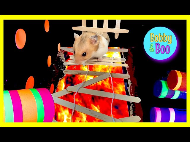 Bobby and Boo have made a UV black light hamster maze with lava!