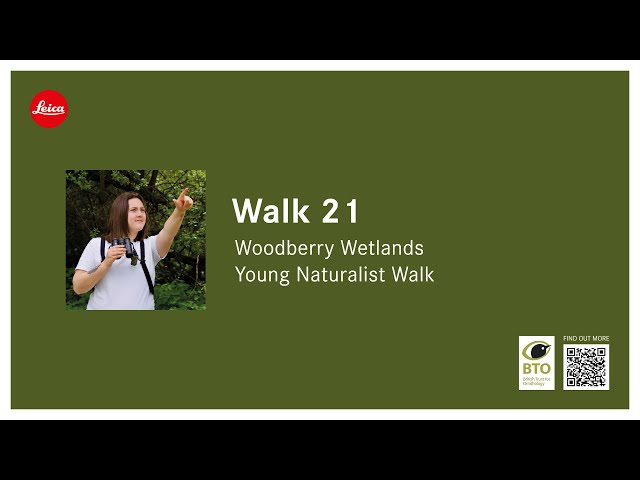 My last 21 Wildlife Walks at Woodberry Wetlands in London!