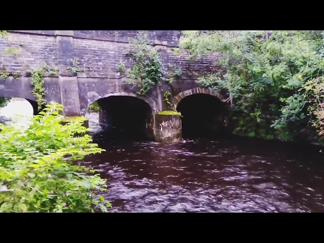 Ashton, Huddersfield & Peak Forest Canal : 001 : River Tame