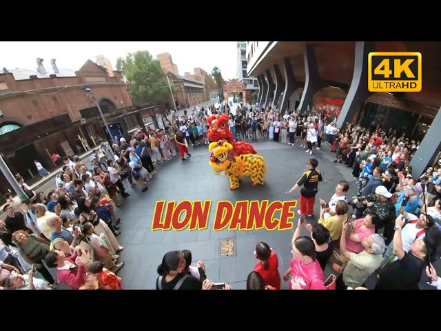 AMAZING🔥[4K] Lion Dance🦁 Haymarket 🌟 Spectacular 🤩 Performance! 👏 for Lunar New Year 2025 農曆新年醒獅滙演 🦁