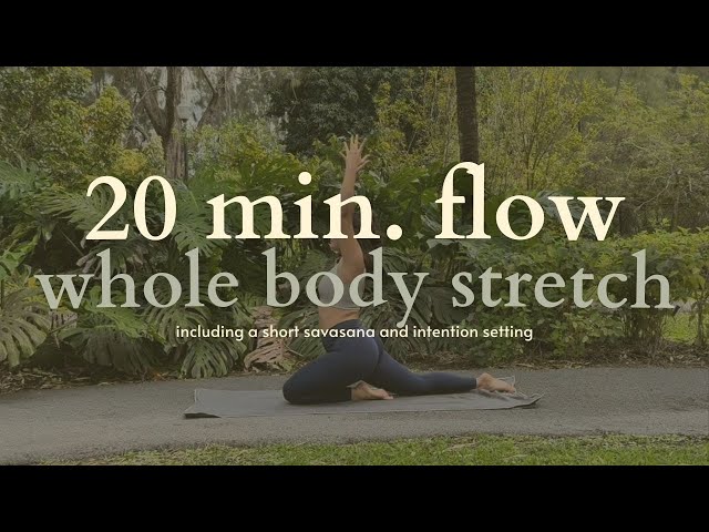 20 minute yoga flow - quick and whole body focused *includes intentional opening and short savasana*