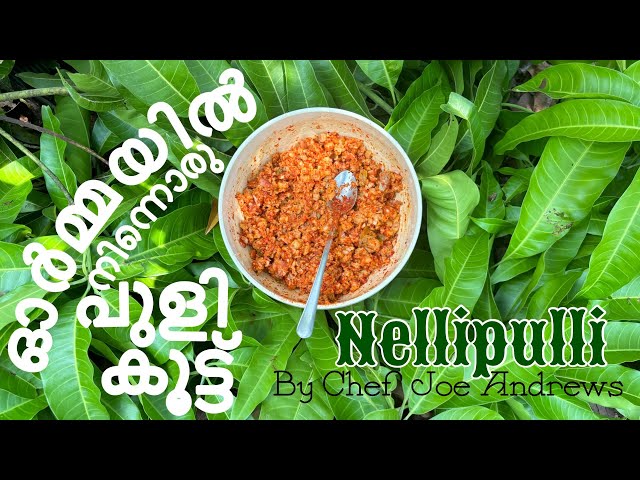 കൊതിയൂറും അരിനെല്ലിക്ക അച്ചാർ Nellipuli achar Fresh Star Gooseberry Recipe Ari nellika achar simple