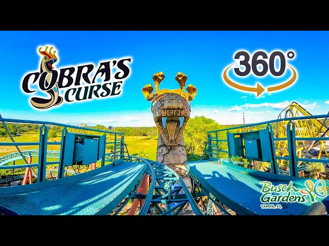 VR 360 Cobra's Curse Roller Coaster On Ride POV with Queue Busch Gardens Tampa 2023 10 31