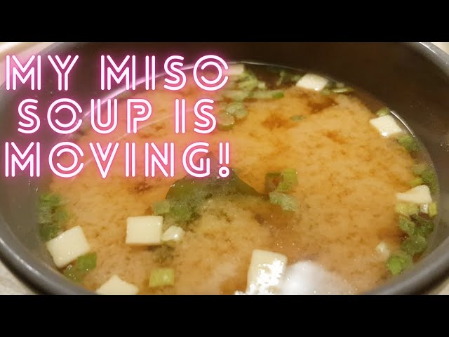 My miso soup is moving! That looks so weird