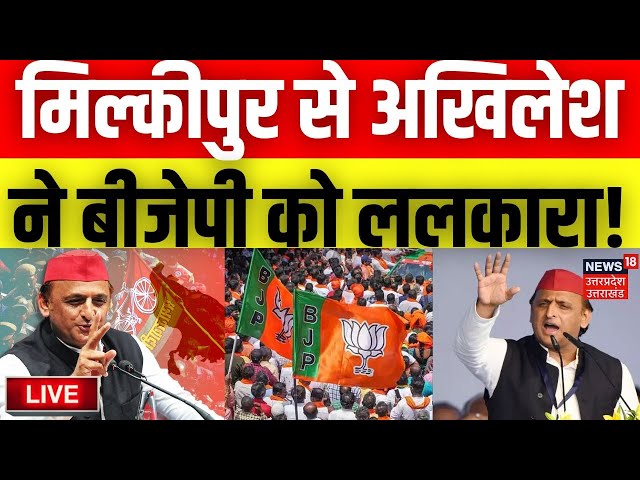 Akhilesh Yadav Rally In Milkipur LIVE: मिल्कीपुर से अखिलेश यादव की BJP को ललकारा | Samajwadi Party