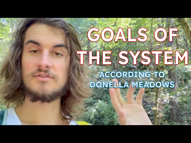 Leverage Point 3: Goals of the System || Systems Theory