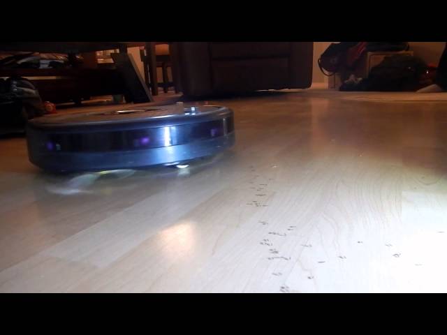 Roomba VS Ants