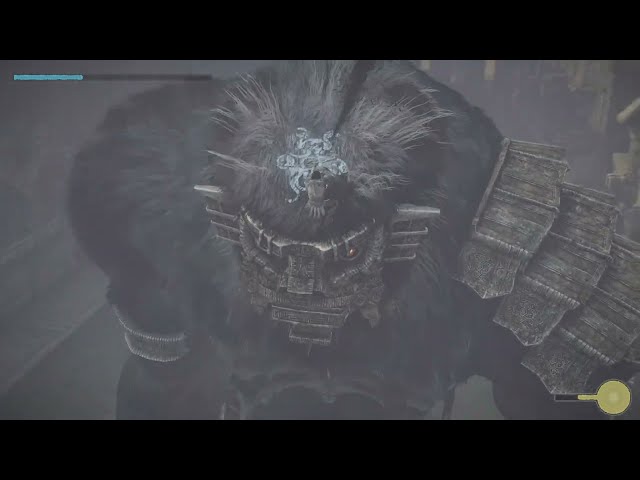 Shadow of the Colossus Part 8: Colossi 15