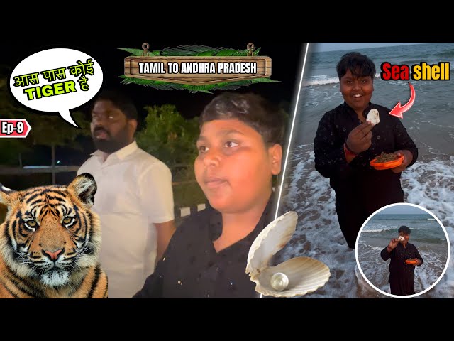 Beach par Mila Sea Shell🦪or Tiger Ke पास hotel ले लिया😱🐅||Tamil Nadu To Andhra Pradesh😍by Scorpio-n|