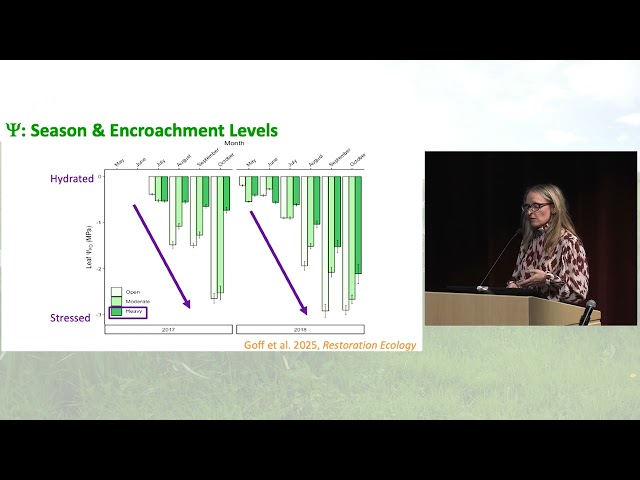 Conifer Encroachment & Removal in Oak Woodlands by Lucy Kerhoulas