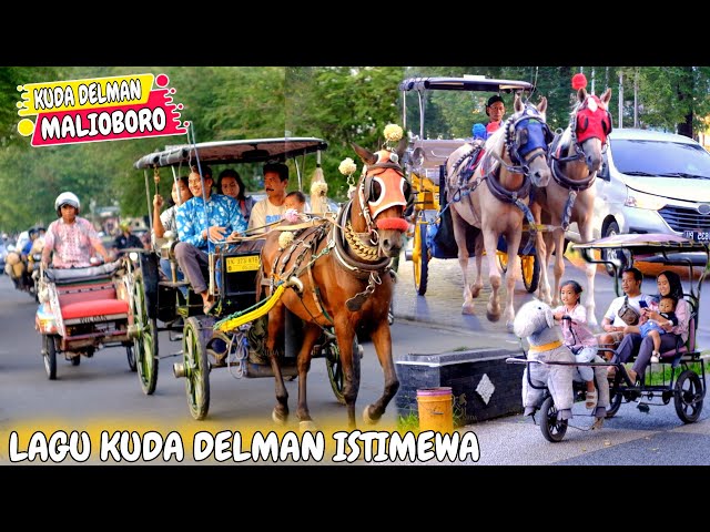 KUDA DELMAN ISTIMEWA YOGYAKARTA ‼️ LAGU KUDA DELMAN ISTIMEWA | KUDA MALIOBORO | NAIK KUDA | KUDA