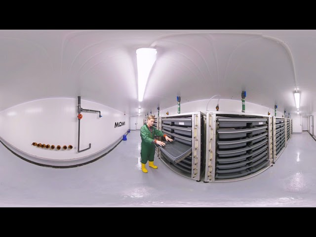 Mowi Scotland Virtual Reality Tour - Part 1 - The Salmon Hatchery