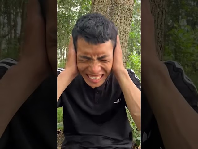 The Sound of Insects in the Forest and My Treatment😱😱 #outdoors#camping#survival#bushcraft😭