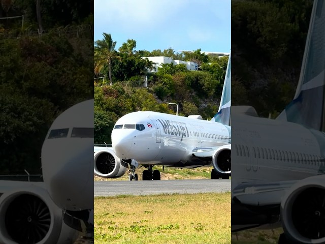 WestJet Boeing 737 Closeup Departure from SXM #aviation #planespotting #aircraft #bestairlines