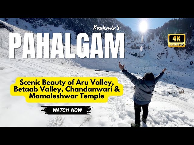 The Hidden Valley of Kashmir: A Pahalgam Family Adventure