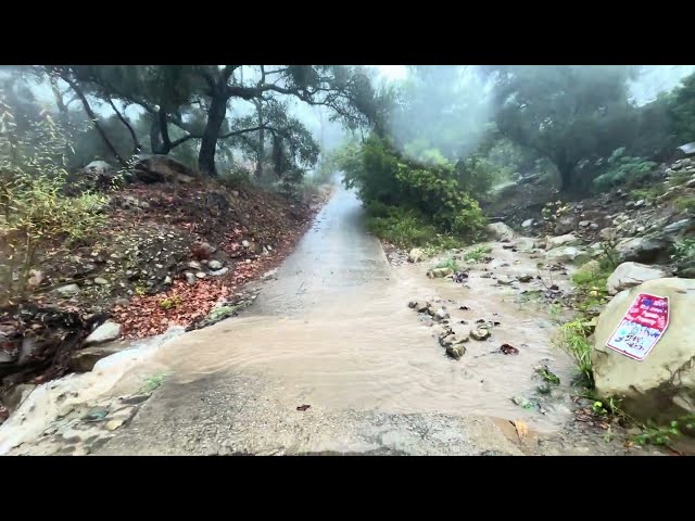 🌧️ Peaceful and Relaxing Rain Walk in Santa Barbara 🚶‍♂️, feb 13, 2025 Santa Barbara, California