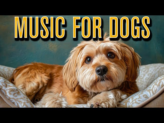 Music for Dogs 🐶 Prevent Anxiety and Depression with Relaxing Dog Music!