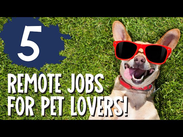 REMOTE JOBS FOR PET LOVERS PART 2 - ENTRY LEVEL WFH JOBS W/ LITTLE TO NO EXPERIENCE REQUIRED