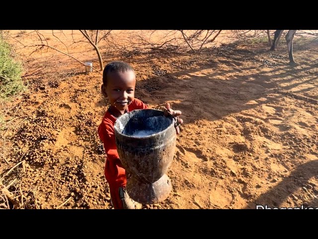 Nolasha caadigaa ee baadiyaha soomaalida Normal LIFE of Somalia countryside