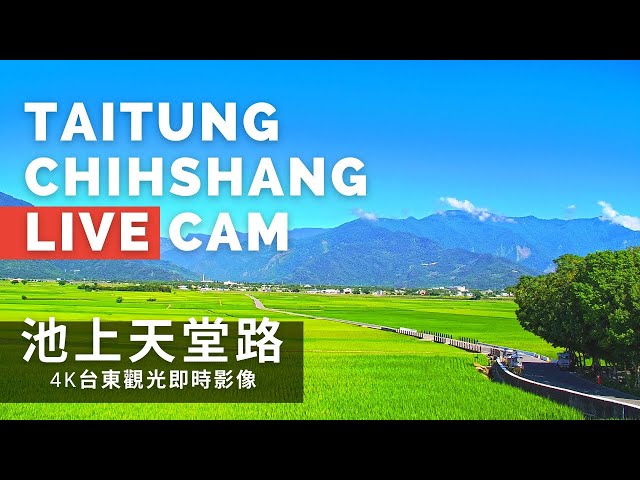 【4K】台東池上天堂路即時影像 Taitung Chihshang Live Camera