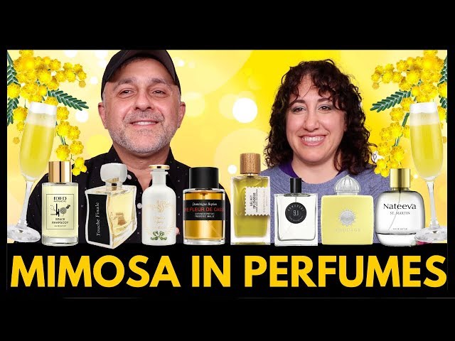 FAVORITE MIMOSA PERFUMES | What Is Mimosa In Fragrances? Discussion With Dalya