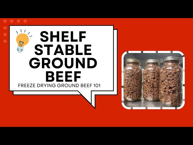 How to Freeze Dry Ground Beef for long term storage