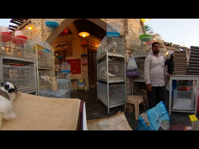 360º Video 4K- Doha/Qatar Bird Market Souq Waqif