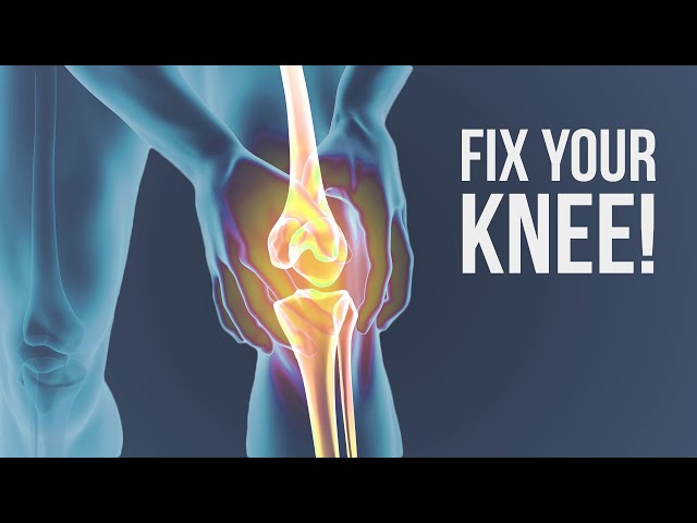 Knee Pain Help: 2 Best Exercises & Stretches for Knee Pain Relief