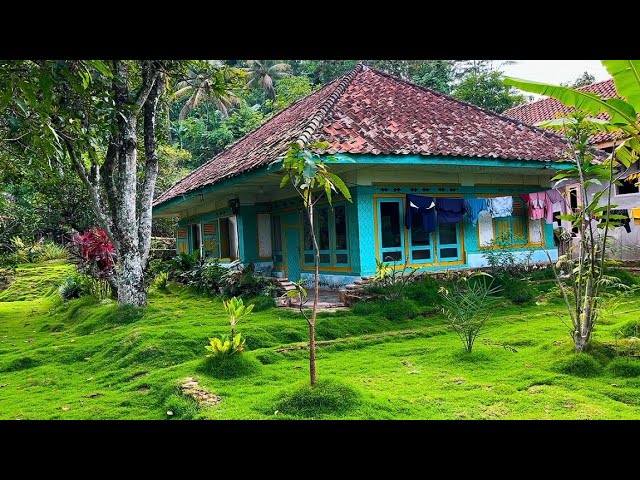 WOW !! CANTIK SEKALI RUMAH LAWAS INI TIDAK TERMAKAN OLEH JAMAN