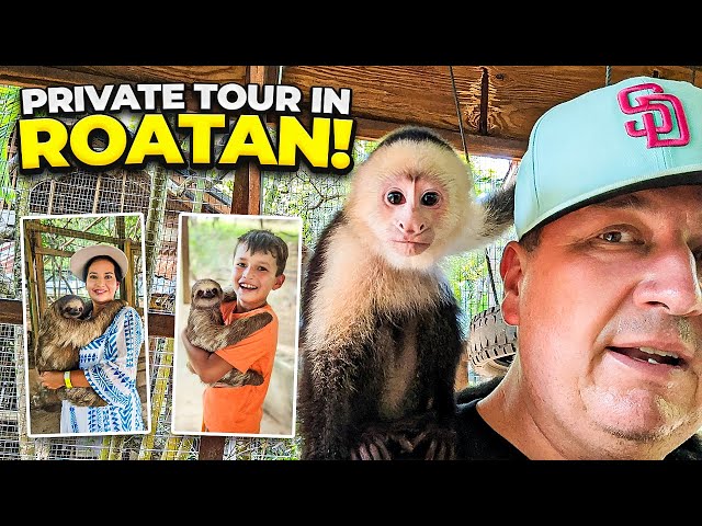 Private Cruise Excursion in Honduras | Sloths | Part 1