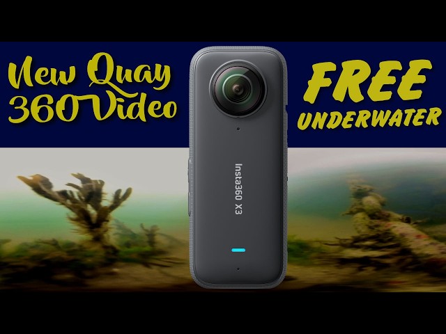 New Quay Under Water Video World - Pateron Trail