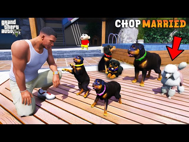 Shinchan & Franklin Found Chop's Secret Marriage And Puppies In GTA 5 | Paradox FTW