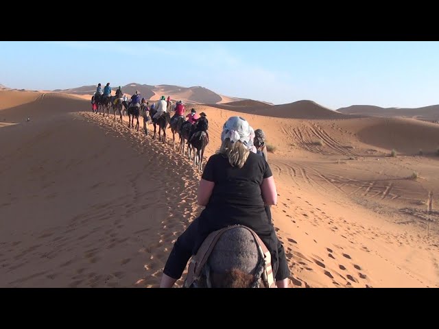 PSVR 3D MOROCCO Sahara Desert Camel Trek