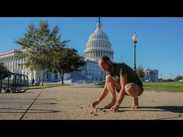 Foraging Walk at the US Capitol in Washington DC. Food is Growing EVERYWHERE!