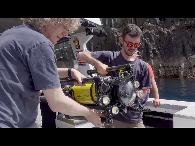 Boxfish Luna Official Reel | 8K Cinematic Underwater Drone for Filmmaking & Research