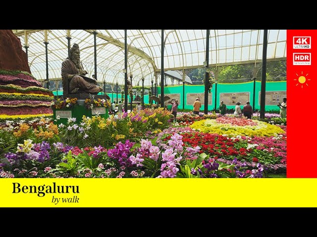 Beautiful Lalbagh Flower show POV |  Bengaluru | #4k #POV