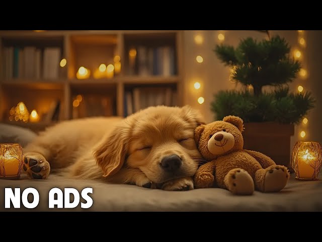 12 Hours of Calming music for dogs 🦮 Dog Music for Stress Relief 🐶 Dog Anxiety Music💖No Ads