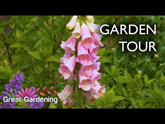 A Stunning Garden With Color | Garden Tour