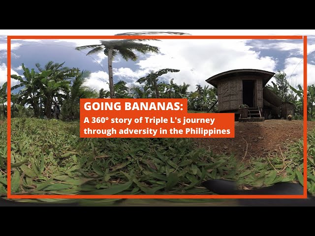 Going bananas: A 360° story of Triple L's journey through adversity in the Philippines